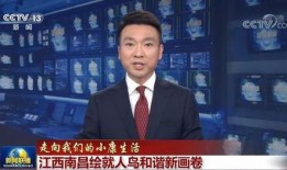 染柒最新爆料新闻联播,新闻联播最新爆料背后的故事