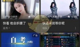 爆料热点金星直播视频回放,揭秘娱乐圈幕后真相